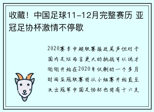 收藏！中国足球11-12月完整赛历 亚冠足协杯激情不停歇